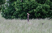 Bild: Peter Blei unterwegs am Stausee Kelbra