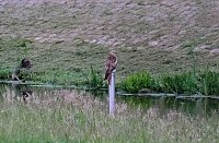 Bild: Peter Blei unterwegs am Stausee Kelbra