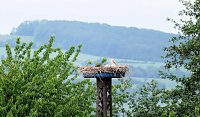 Bild: Peter Blei unterwegs am Stausee Kelbra