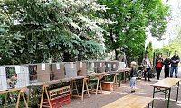 Bild: "Kr&auml;hwettbewerb" in Etzleben
