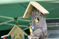 Bild: 19. Residenzfest Sondershausen