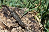 Natur pur erleben im Teichthal Bild: Natur pur erleben im Teichthal