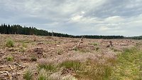 Bild: Eindr&uuml;cke aus dem Oberharz zwischen Trautenstein und Sophienhof