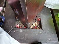 Einsatz an der Hornungshöhe Bild: Einsatz an der Hornungshöhe