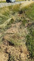 Mehrere Menschen wurden verletzt Bild: Mehrere Menschen wurden verletzt