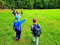 Waldtag am Frauenberg Bild: Waldtag am Frauenberg