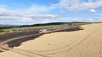 Bild: Feldbrand im Kyffh&auml;userkreis