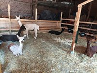 Zu Besuch bei Wilma und Co. Bild: Zu Besuch bei Wilma und Co.