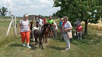 Zu Besuch bei Wilma und Co. Bild: Zu Besuch bei Wilma und Co.