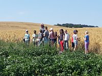 Wandertag in Bendeleben Bild: Wandertag in Bendeleben