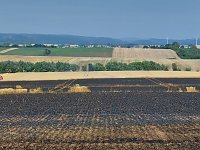 Flächenbrand bei Trebra Bild: Flächenbrand bei Trebra