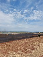 Flächenbrand bei Trebra Bild: Flächenbrand bei Trebra