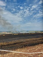 Flächenbrand bei Trebra Bild: Flächenbrand bei Trebra
