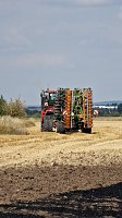 Brand eines Stoppelfeldes bei Bretleben Bild: Brand eines Stoppelfeldes bei Bretleben