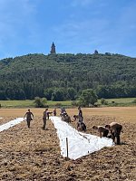 Entstehung des Bodenbildes in Bad Frankenhausen Bild: Entstehung des Bodenbildes in Bad Frankenhausen