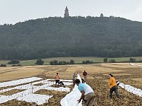 Entstehung des Bodenbildes in Bad Frankenhausen Bild: Entstehung des Bodenbildes in Bad Frankenhausen