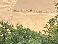 Entstehung des Bodenbildes in Bad Frankenhausen Bild: Entstehung des Bodenbildes in Bad Frankenhausen