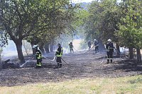 Flächenbrand zwischen Groß- und Kleinfurra Bild: Flächenbrand zwischen Groß- und Kleinfurra