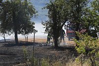 Flächenbrand zwischen Groß- und Kleinfurra Bild: Flächenbrand zwischen Groß- und Kleinfurra