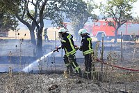 Flächenbrand zwischen Groß- und Kleinfurra Bild: Flächenbrand zwischen Groß- und Kleinfurra