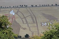 Mittelalterspektakel am Kyffhäuser Denkmal Bild: Mittelalterspektakel am Kyffhäuser Denkmal