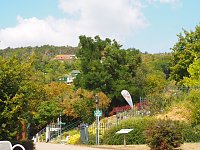 Besuch in Bad Frankenhausen Bild: Besuch in Bad Frankenhausen