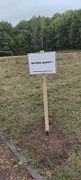 Sportplatz im Borntal wurde durch viele fleißige Hände vom Unrat befreit Bild: Sportplatz im Borntal wurde durch viele fleißige Hände vom Unrat befreit