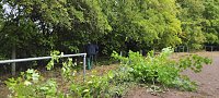Sportplatz im Borntal wurde durch viele fleißige Hände vom Unrat befreit Bild: Sportplatz im Borntal wurde durch viele fleißige Hände vom Unrat befreit