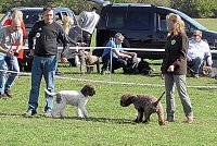 Bild: Clubschau am Stausee