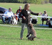 Bild: Clubschau am Stausee