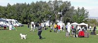 Bild: Clubschau am Stausee