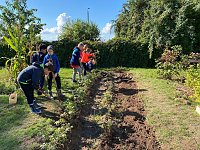Schulgartenprojekt in der Staatlichen Grundschule Hohenebra Bild: Schulgartenprojekt in der Staatlichen Grundschule Hohenebra