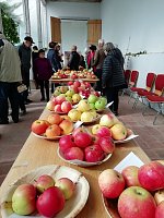 Bild: Obstsortentag in der Orangerie