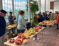 Bild: Obstsortentag in der Orangerie