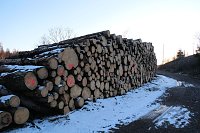 Bild: Peter Blei unterwegs an der Hasselvorsperre