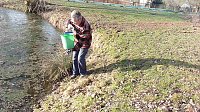 Bild: Kr&ouml;tenwanderung zum Hammateich