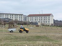 Bild: Baumpflanzung Bad Frankenhausen