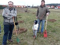 Bild: Baumpflanzung Bad Frankenhausen