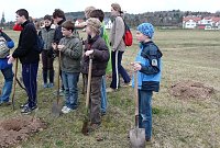 Bild: Baumpflanzung Bad Frankenhausen