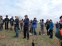 Bild: Baumpflanzung Bad Frankenhausen