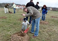 Bild: Baumpflanzung Bad Frankenhausen