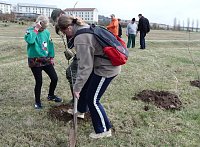 Bild: Baumpflanzung Bad Frankenhausen