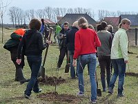 Bild: Baumpflanzung Bad Frankenhausen
