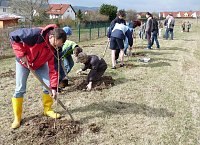 Bild: Baumpflanzung Bad Frankenhausen