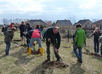 Bild: Baumpflanzung Bad Frankenhausen