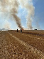 Bild: Feldbrand bei Kleinroda