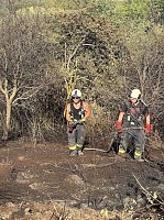 Bild: Brand eines Feldes bei Reinsdrof
