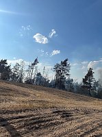 Bild: Brand eines Feldes bei Reinsdrof