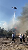 Bild: Brand eines Feldes bei Reinsdrof