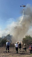 Bild: Brand eines Feldes bei Reinsdrof